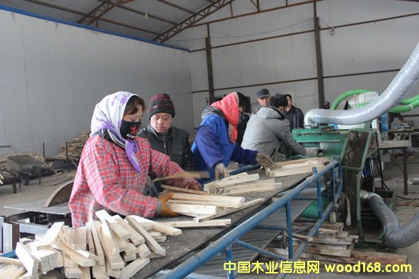 �����������h���ߝM���(zh��n)��ӹ�ľ��6�f(w��n)������