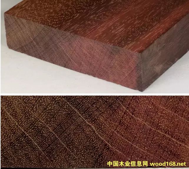 ľ�İٿƣ�ī�����ľ�����챾˹���Fľ����