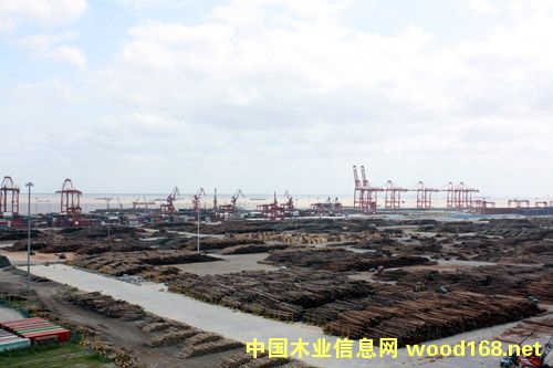 ̫�}�z�ߴ���g(sh��)ƽ�_(t��i) ��������ľ���YԴ�L�L��