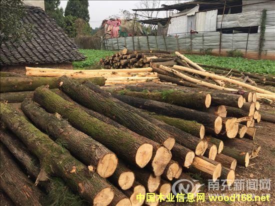 �ϳ䣺�(zh��n)������Ƥ�o(w��)�C�ӹ�ľ�� �(zh��n)�L(zh��ng)�Qȫ�ж��ձ�