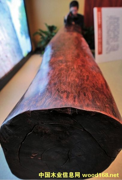 ���Fľ�Ľ����S̴�������S����