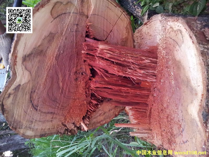 ��t��֦20���(n��i)�ѝq�ٱ���10���߀���ϝq30����