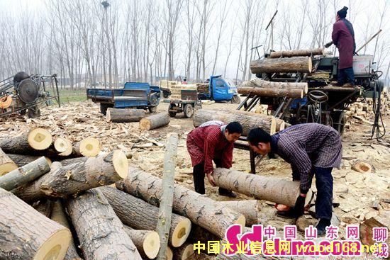 ��ƽ�h�����(zh��n)�l(f��)չ�r(n��ng)��(h��)ľ�ļӹ�׌�r(n��ng)��o(w��)�e��