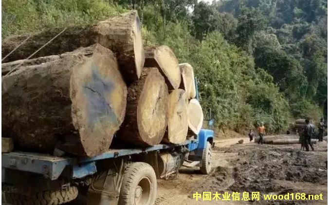 �r������ϝq,����ľ�����R�߿Չ���Σ�C