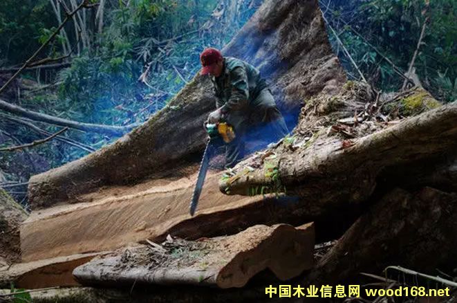 �ϓ뾳��(n��i)�ѽ�(j��ng)�Ҳ�������Ĵ�t��֦ԭ����