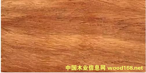 ӡ����̴����̴�ٻ���ľ����׷Q����ľ��