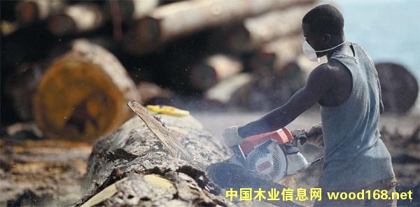 ����ľ�Ĵ�����I(y��)Ѳҕ֮---�Ї��֘I(y��)���F�A��ľ�I(y��)�ɷݹ�˾