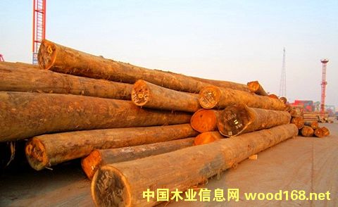 ���ڏ��Ҹ۷��޲ĵĳ��������_���f������