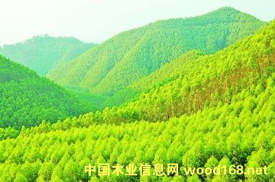 �V����˼�h�����l(xi��ng)�������