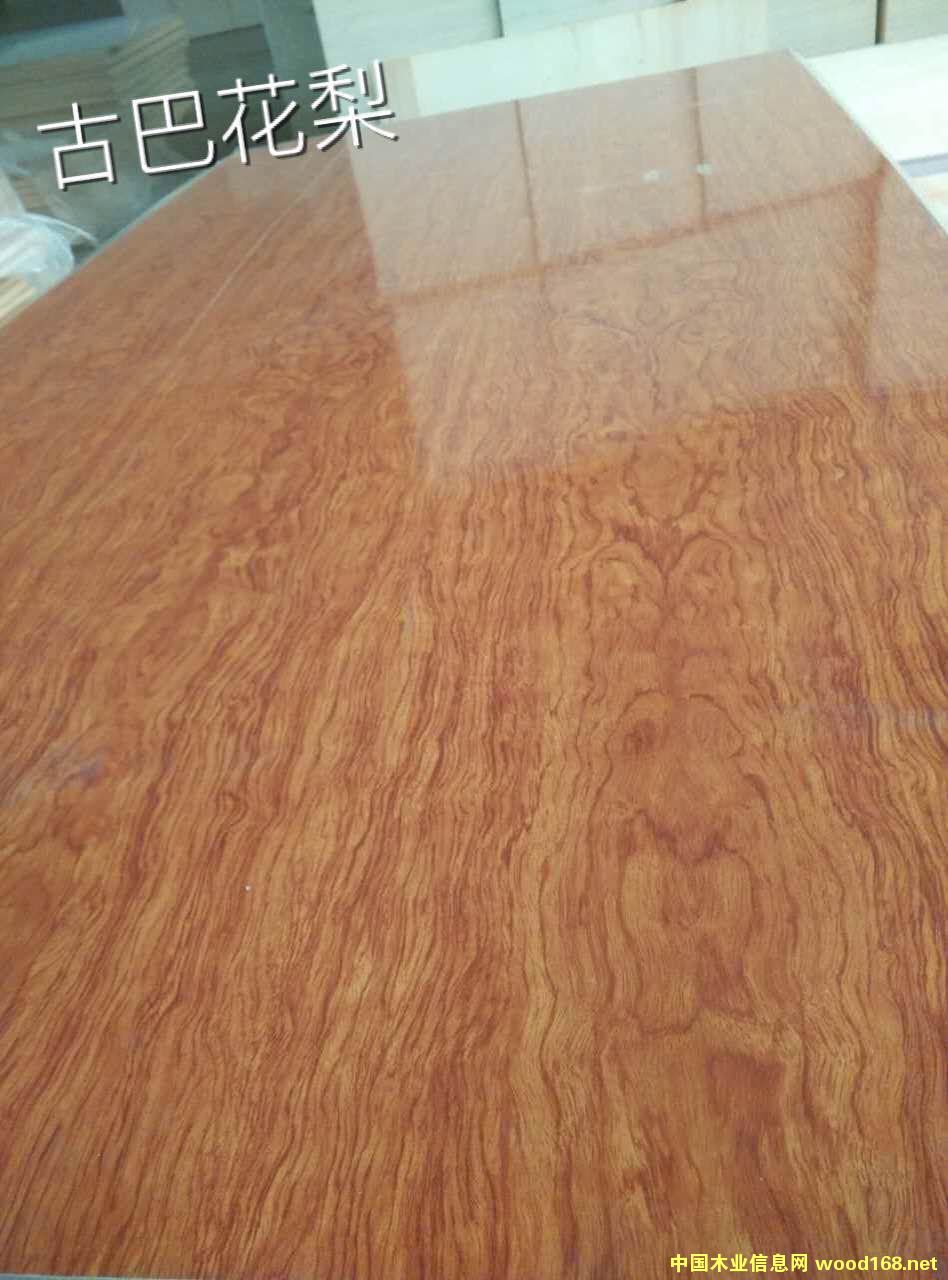 �Űͻ����Ԕ��(x��)��B