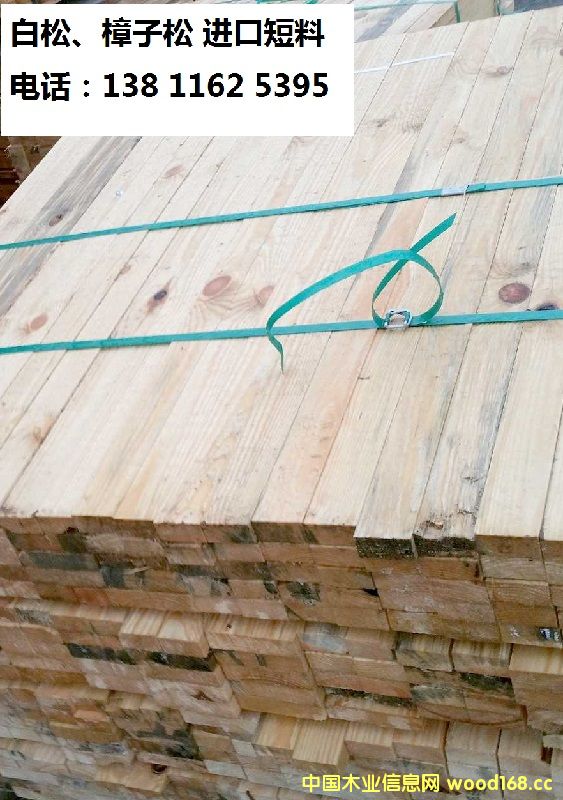 �����������ɶ���