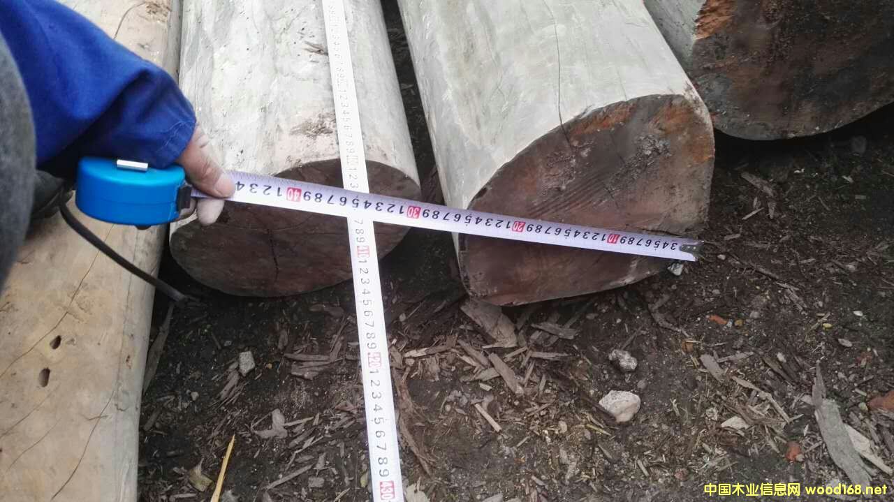 ����ľ��Ԕ����B