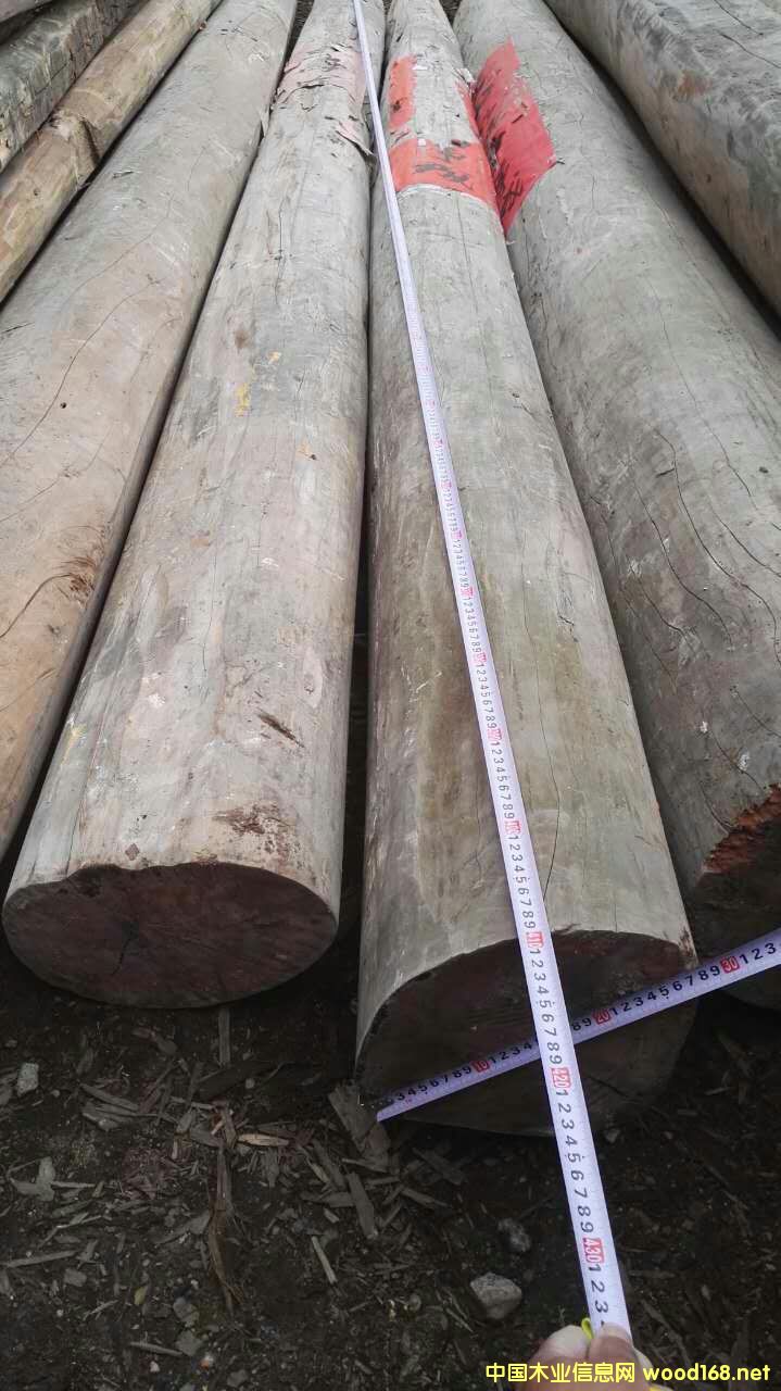 ľ��Ԕ����B