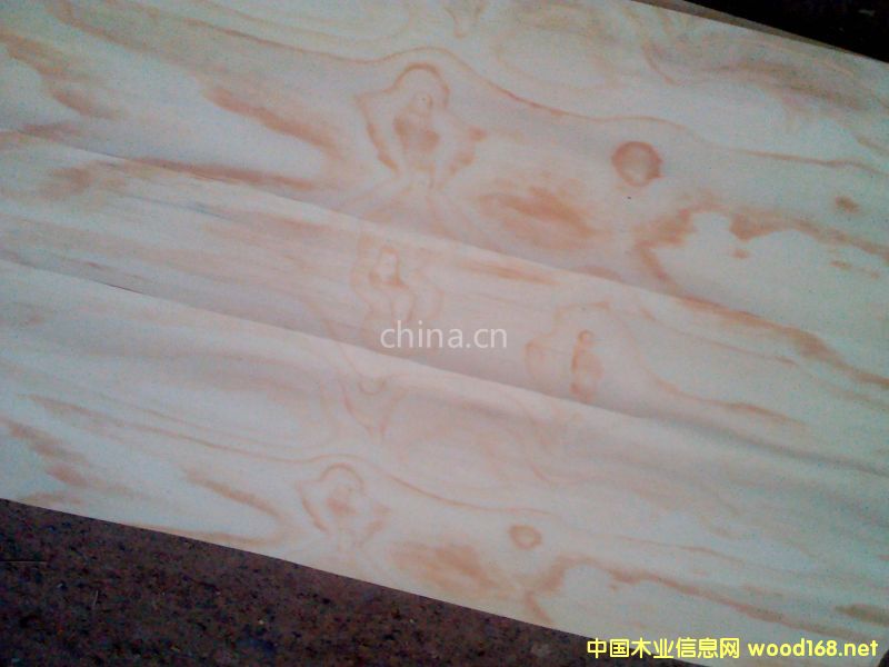 ݗ���ɟo(w��)��(ji��)��Ƥ