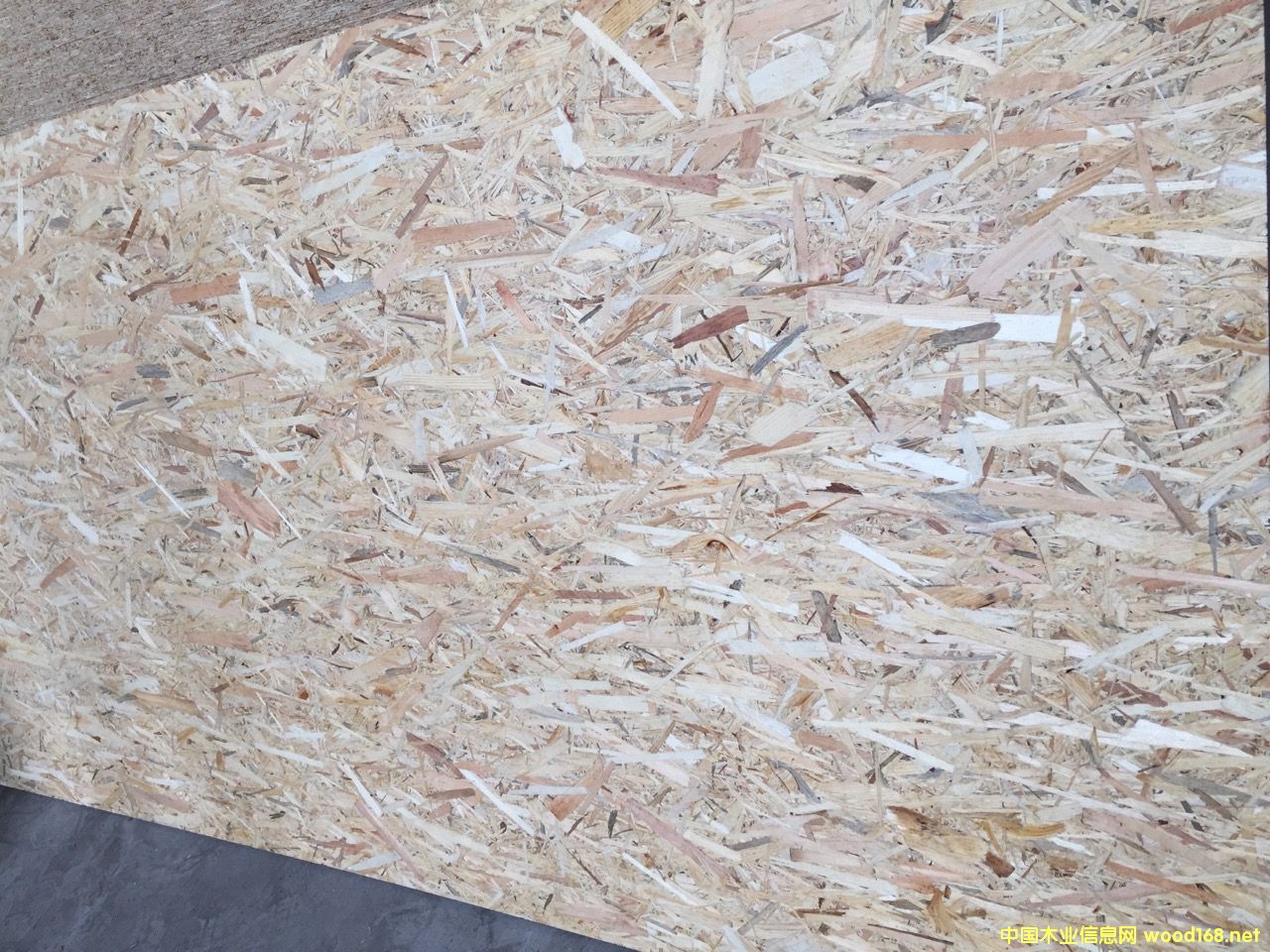 �_�R�၆����W�ɰ�OSB