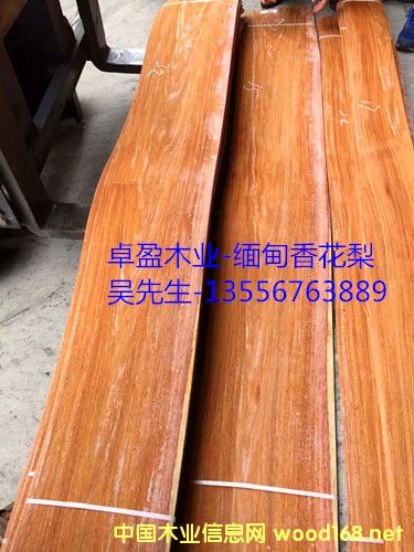 [��] 0,3MM���黨��/�㻨��/�����̴ľƤ