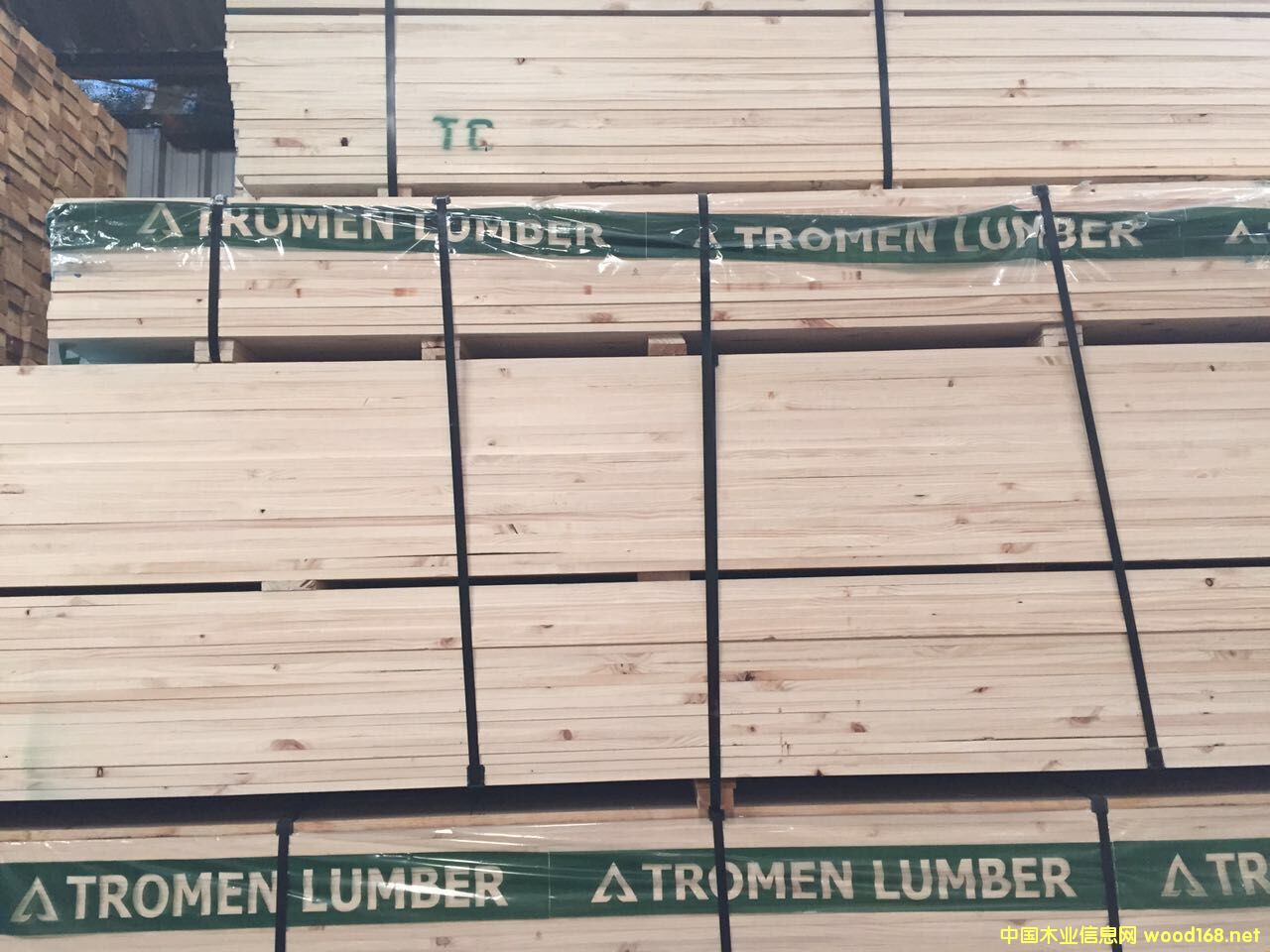 ������TROMEN�Ҿ߼�5