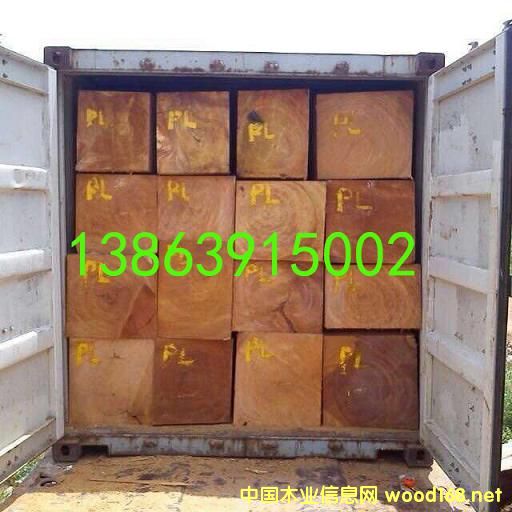 [��] 2016�����b����ľAfzelia,Doussie