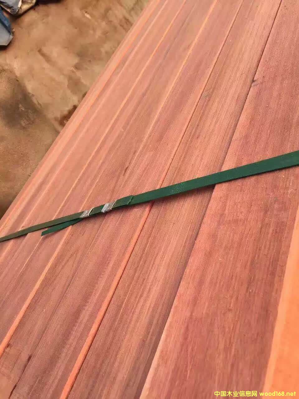 柳雜木的詳細介紹