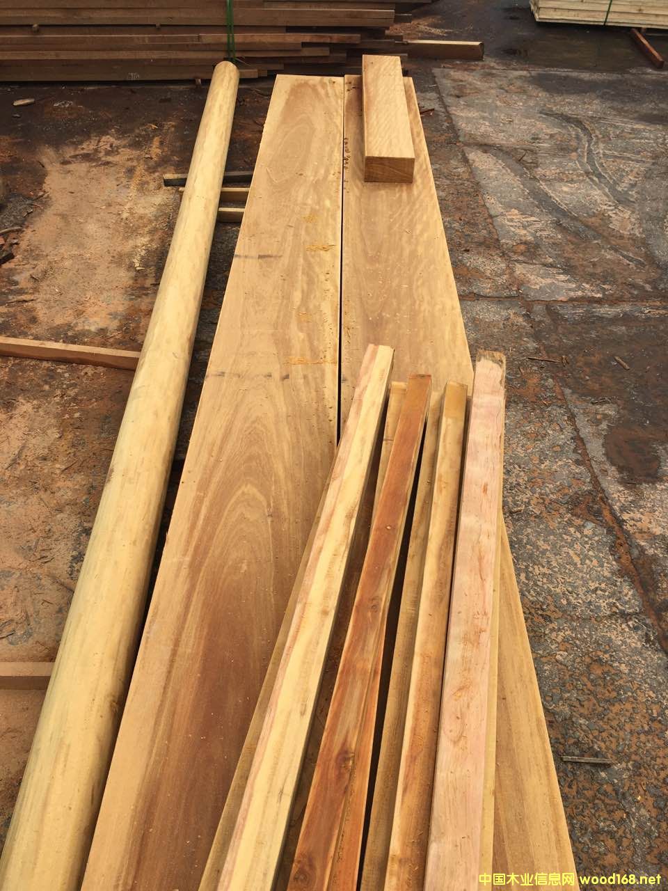 巴蒂木的詳細介紹