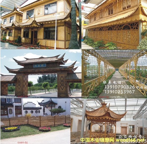 �������������������e������ľ��������Ԕ��(x��)��B