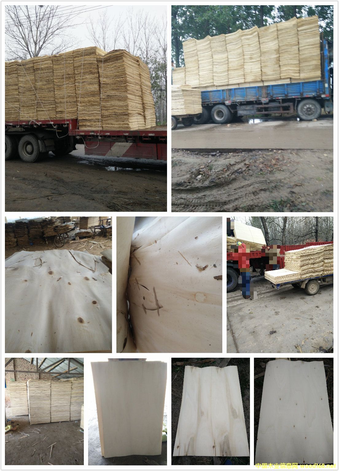 �����o����