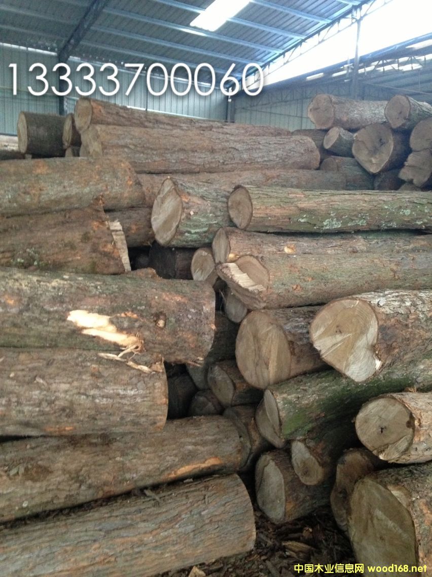 楸木出售的詳細(xì)介紹