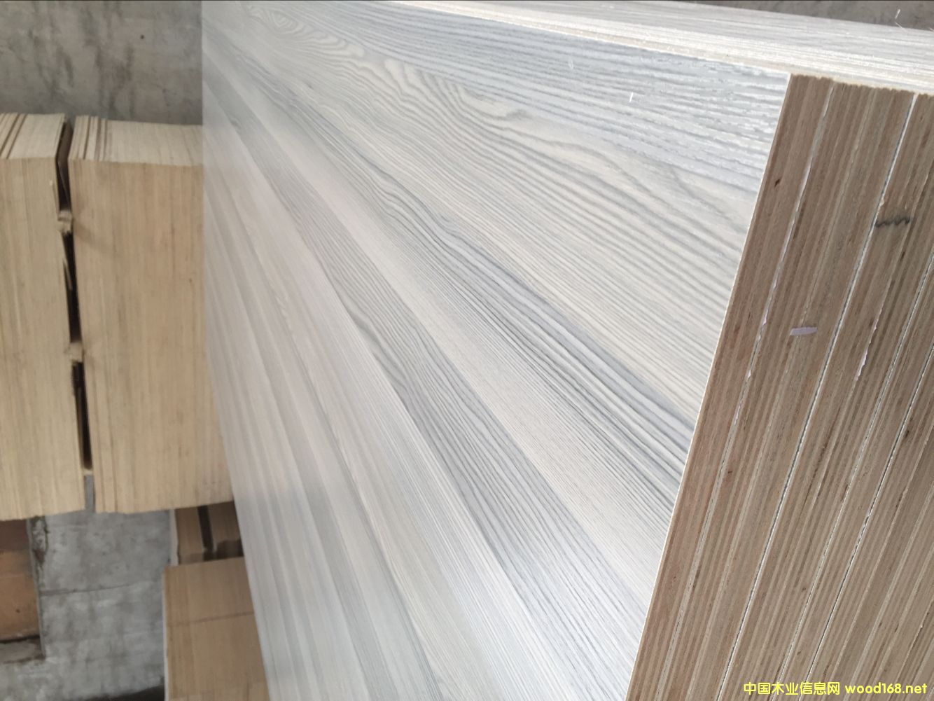 ���Ӱ��ľо Ư�ח�ľ