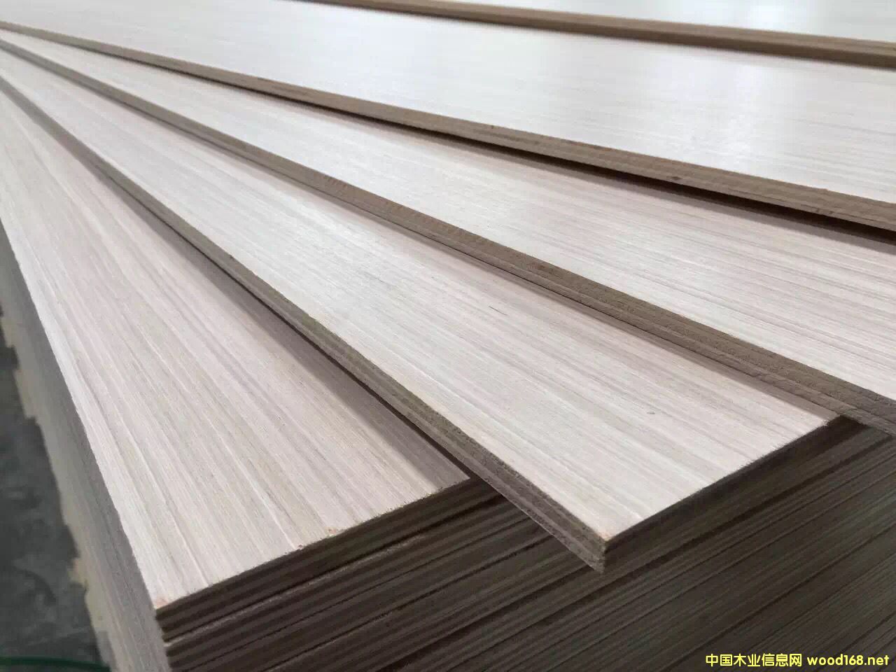 25����Ӱ�Ҿ߰�