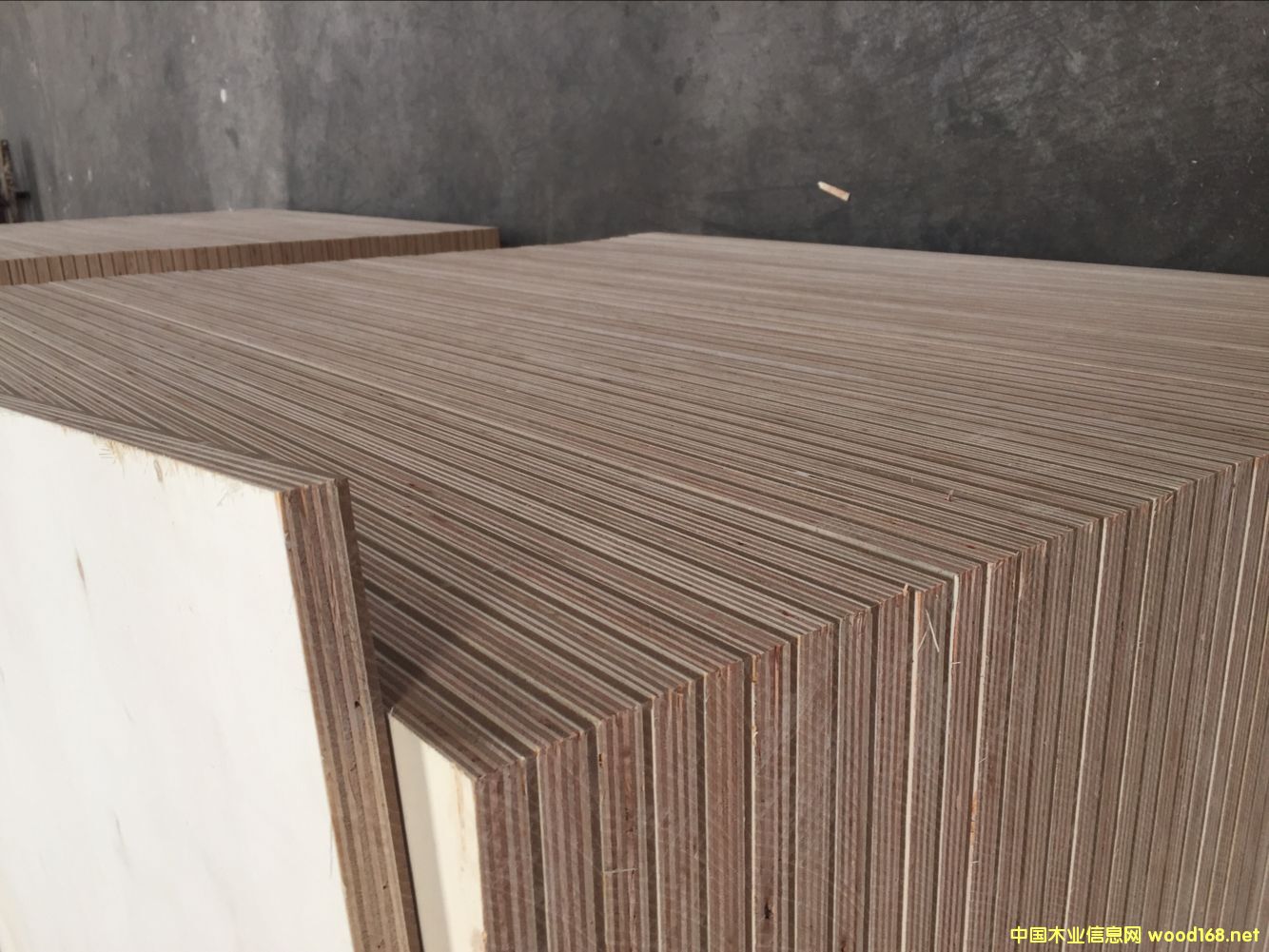 18���ľо���� �sľо