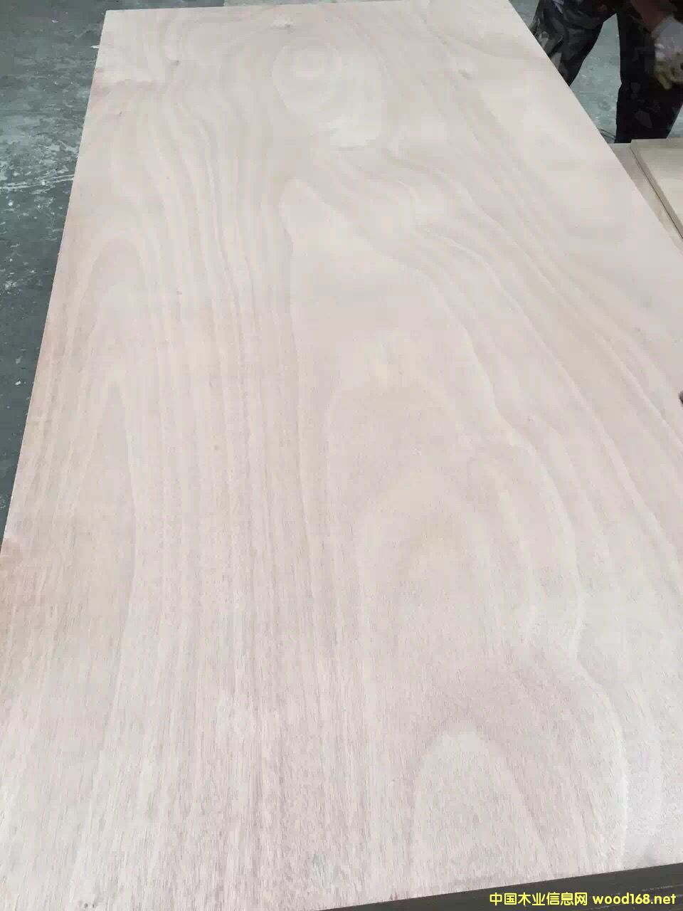 ���⵶ģ�� �и��ٶȿ�