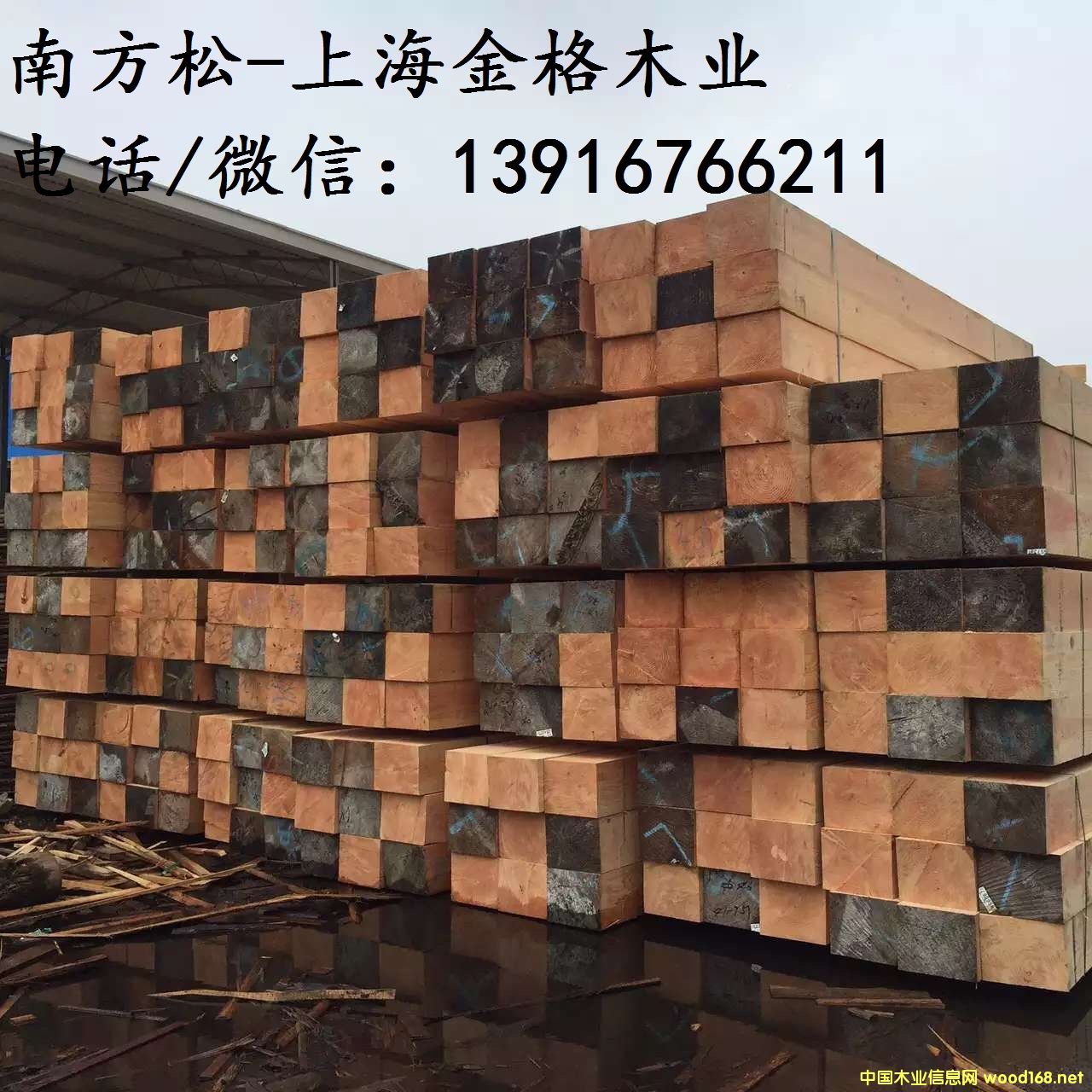 �Ϸ�����������