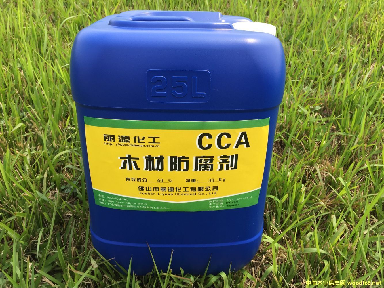 CCA������