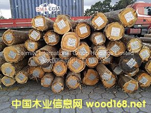 ��ľ��Ԕ����B