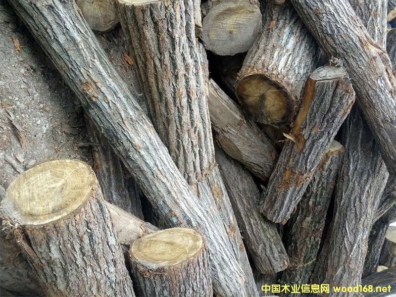 ԭľ����ľ����ľ������ľ��