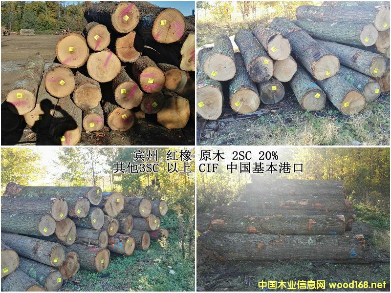 �t���������ԭľ