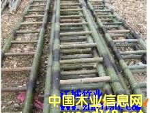 竹梯子的詳細(xì)介紹