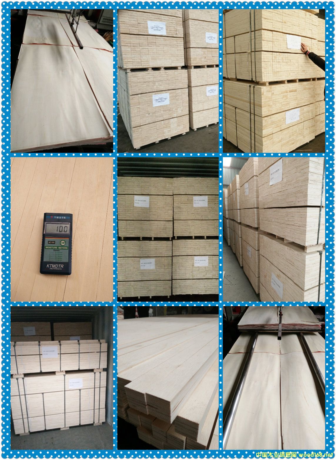 LVL�T(m��n)о��l