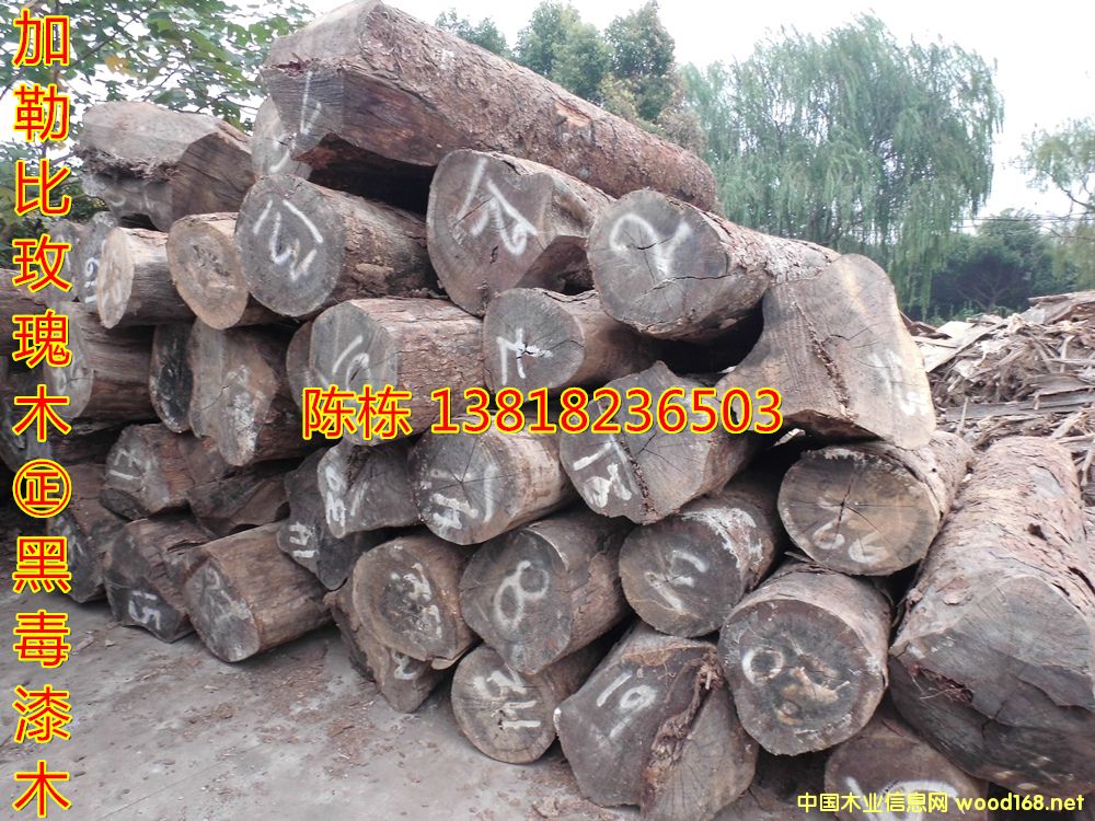 ������֦���ձ�õ��ľ��z�S̴�ڶ���ľ�����޴��~�S����ڻ���ľ��Ԕ��(x��)��B