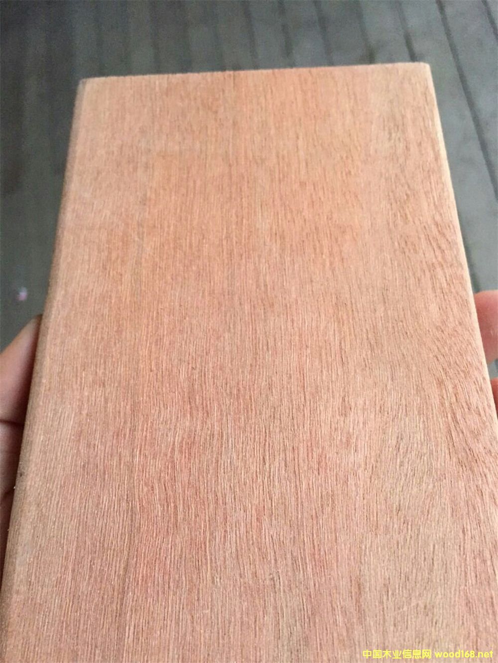 ɽ��ľ���^ľ��