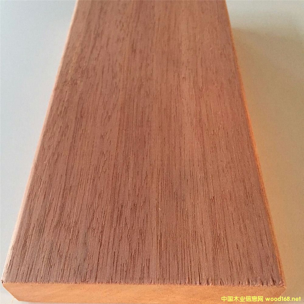 ���¼t�������ľ�ذ��Ԕ��(x��)��B