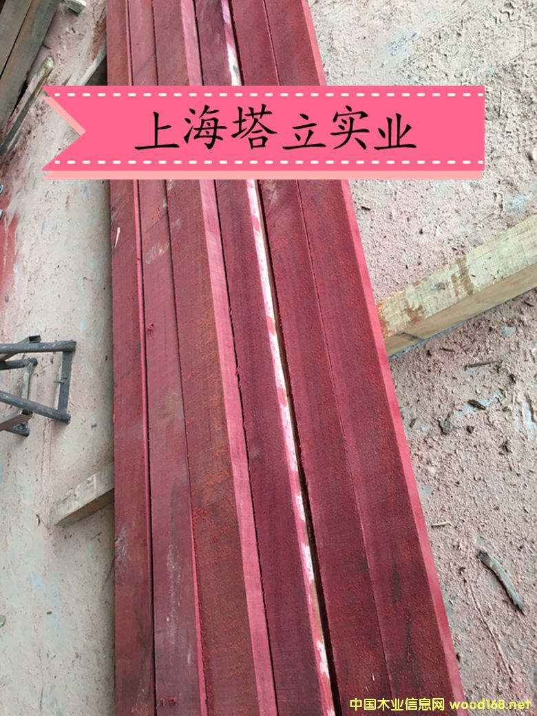 �t��ľ �t�̈́�ľ����ذ�@�־��^����ľ�ĵ�Ԕ��(x��)��B