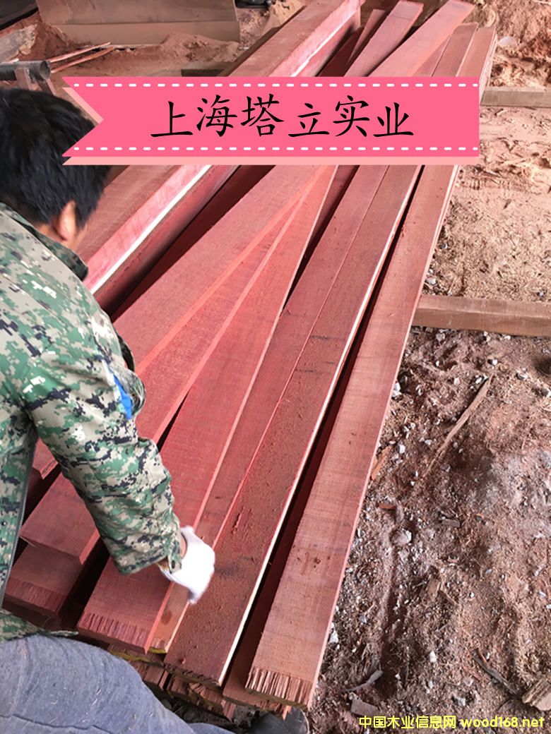 ���¼t�������ľ�Ĉ@�־��^�����ذ��y����ľ�ڂ��ҵ�Ԕ��(x��)��B