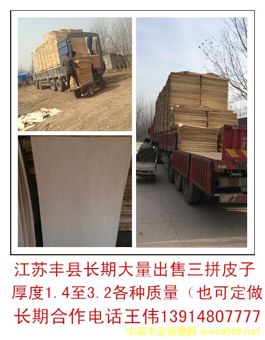 ��ľƤ�ӆΰ�A��