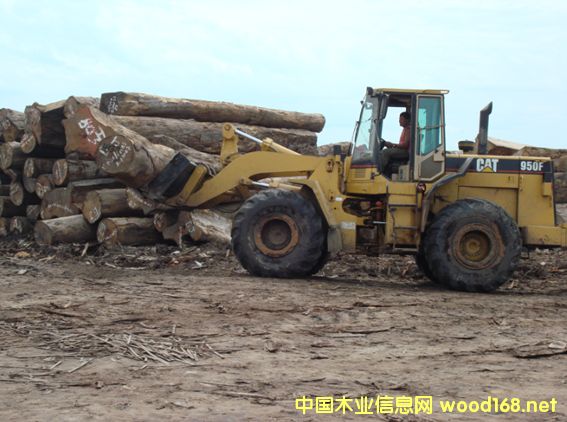 �����ذ�����