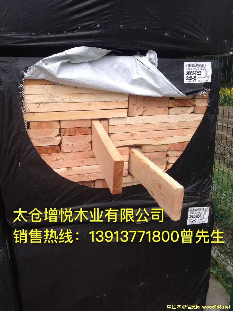 ̫�}�������l(f��)���ɶ��ϣ��Fɼ�������������