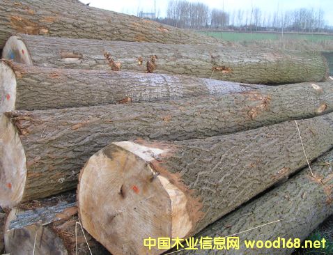 �W�ޗ�ľ���̵�Ԕ��(x��)��B