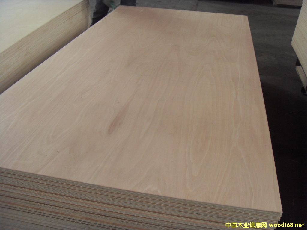 ��¡ľ��Ԕ����B