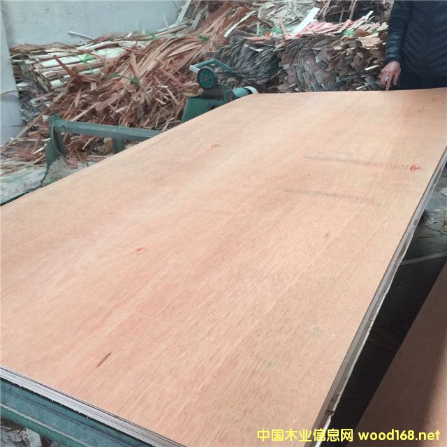 �t�sľ��Ԕ����B