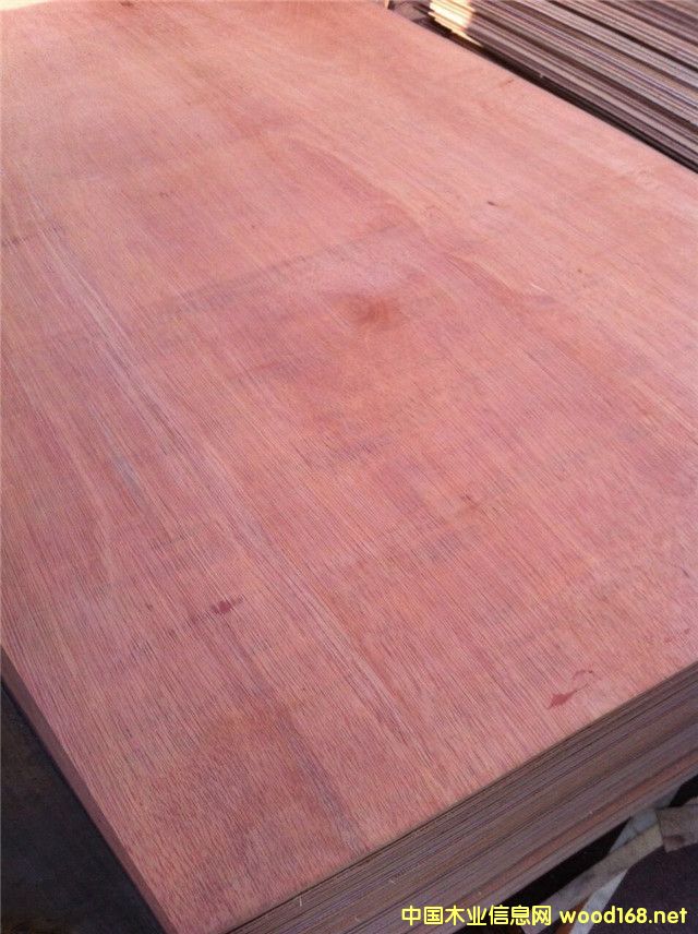 �t�sľ��Ԕ����B